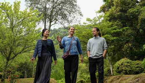 Two women and a man engage in conversation while walking in a park in Kyoto