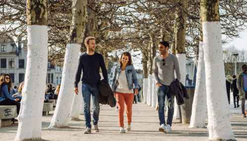 Brussels Uncovered: A First Look at the City