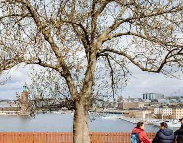 Must see Stockholm with a local