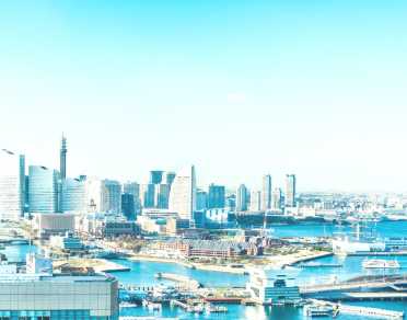 Cruise stop-over: day trip to Tokyo from Yokohama port