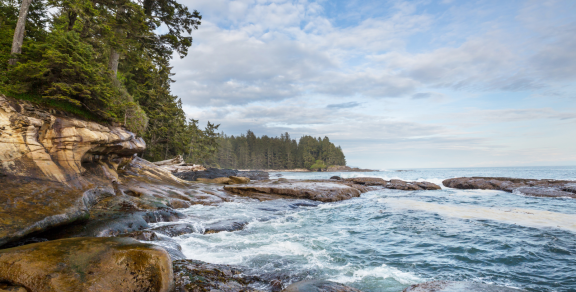 Best Vancouver Day Trips in 2025: A Local's Guide to Mountains, Islands, and Hidden Corners