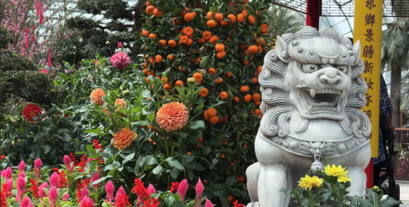 Things to Do in Singapore in 2025: Timed Icons, Quiet Corners and Local Rituals