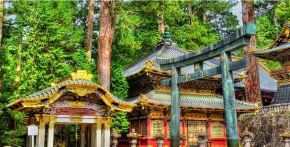 Day Trips From Tokyo: Local Picks For A Great Day Out