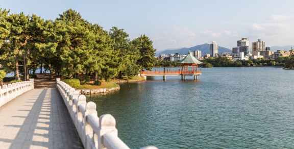 Where to Stay in Fukuoka: Best Areas & Neighborhoods Explained