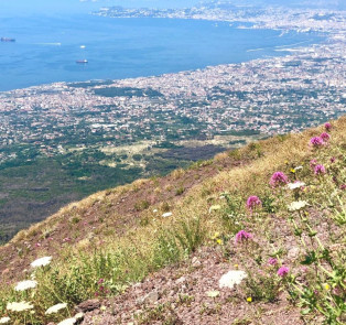 Mt. Vesuvius