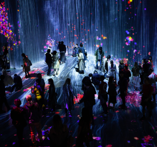 Enjoy the stunning teamLab Borderless digital art museu