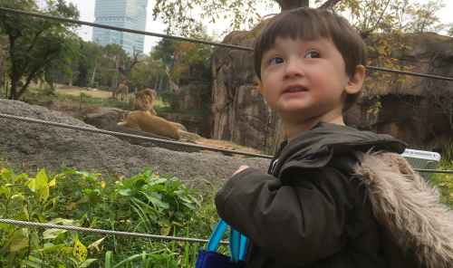 Family day in Osaka with a local