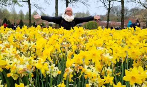 Explore Keukenhof, the garden of Europe