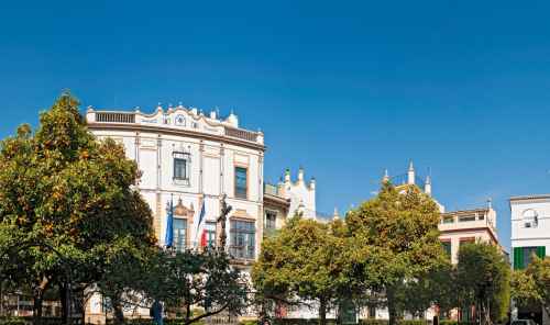 Get a helping of delicious Seville