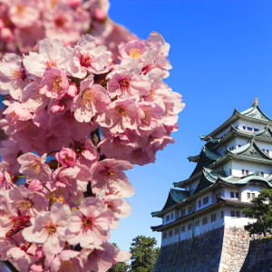 10 Hidden Gems In Nagoya