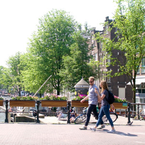 Top Free Things to do in Amsterdam