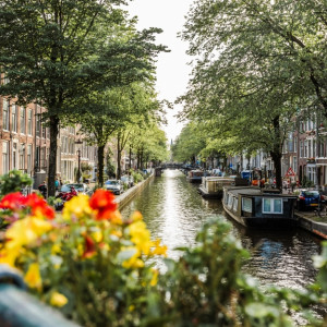 Best Time To Visit Amsterdam