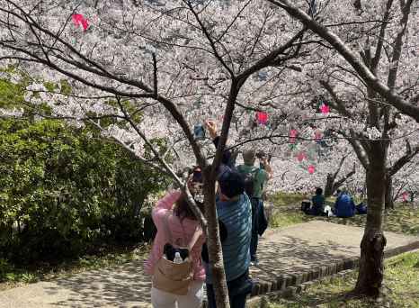 Masaaki_Kinoshita_Nagasaki_GYGRFRK6242A