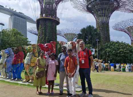 Embracing Unity Amidst the Supertrees