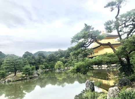 Golden Tranquility: Reflecting Serenity