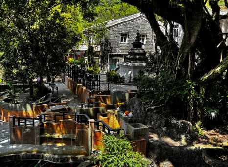 The Enchanted Garden Sanctuary