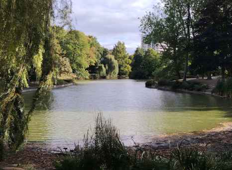 Whispers of Serenity: The Lake's Gentle Caress