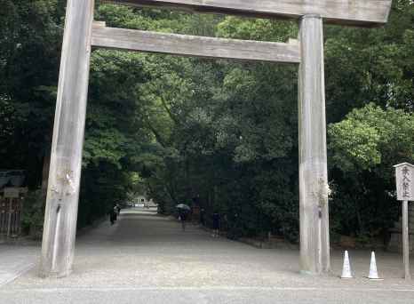 Arch of Calm: Enter the Embrace of Ancient Trees
