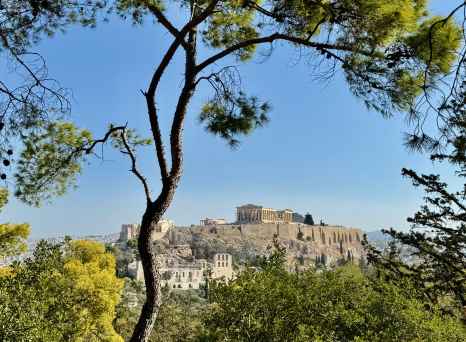 Whispers of Ancient Majesty