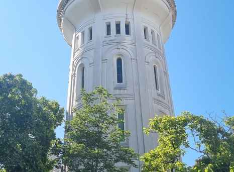 Towering Elegance Under a Blue Sky