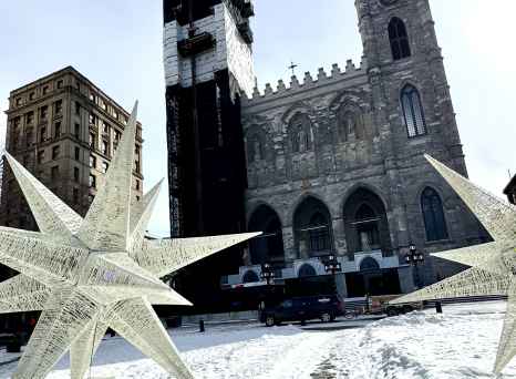 Stars of Winter: A Cathedral's Embrace