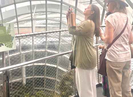 Skyward Glance: Capturing Wonders Under the Dome