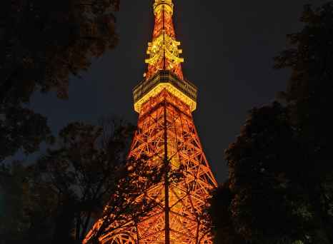 Golden Glow: Illuminating Tokyo at Night