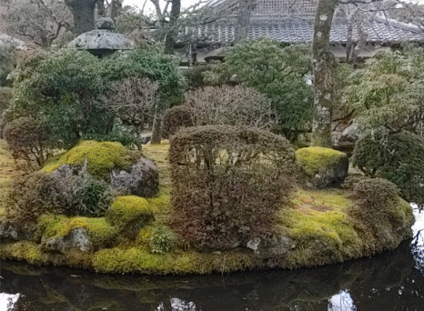 Traditional building with tiled roof visible behind Japanese garden foliage.