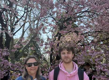 Cherry blossoms in full bloom with a man and woman beneath.
