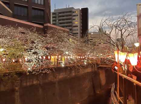 In Tokyo, lanterns twinkle above the serene canal at dusk.
