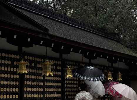 A quiet moment at Kyoto's temple under the rain.
