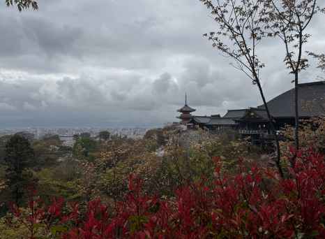 A moody sky frames Kyoto's serene temple view perfectly.