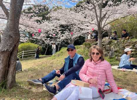 Springtime Serenity Under Blossoming Skies