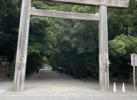 Arch of Calm: Enter the Embrace of Ancient Trees