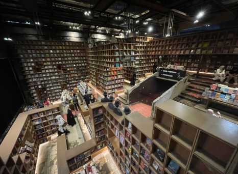 Lost in a Labyrinth of Books