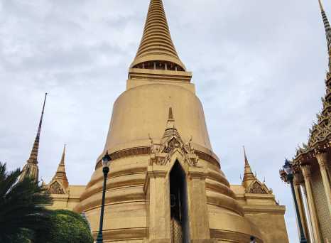 Golden Majesty: Ascend to the Sky