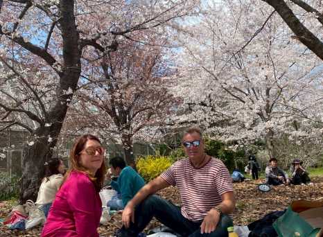 Blossom Moments: A Spring Picnic Under Cherry Trees