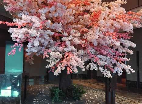 Blossoms of Serenity: A Spring Arrival