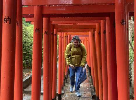 Traveler's Passage Under Vibrant Torii