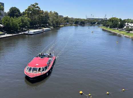 Cruising the Calm: A River Adventure