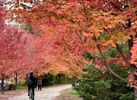 Autumn's Welcoming Pathway