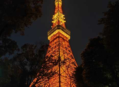 Golden Glow: Illuminating Tokyo at Night