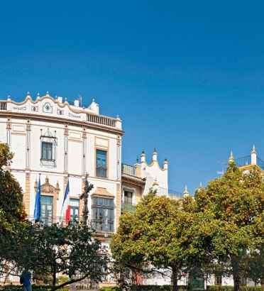 Get a helping of delicious Seville