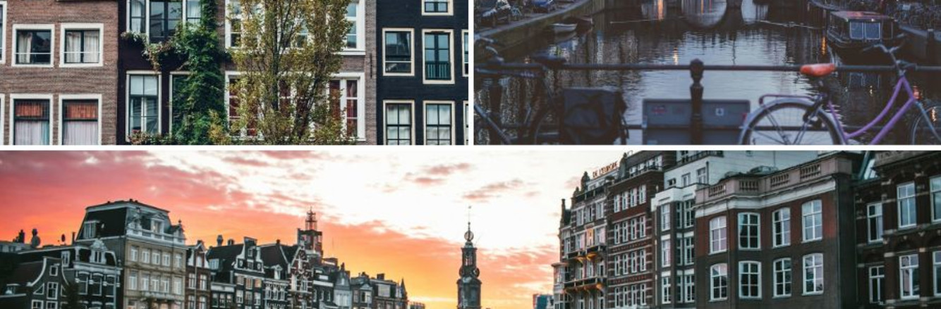 Dutch Despite Amsterdam and The Hague From Chaos to Calm: How Utrecht Managed the Crowds