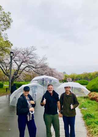 A group enjoying a rainy stroll through Osaka’s cherry blossoms.
