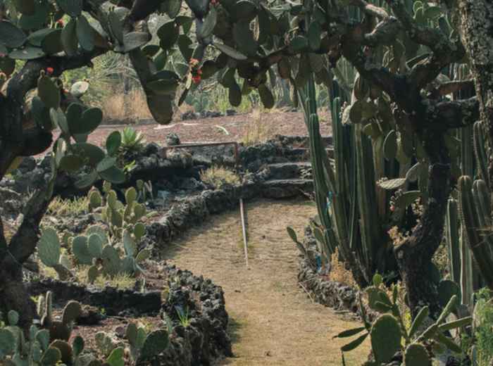 The Best  Parks In Mexico City 