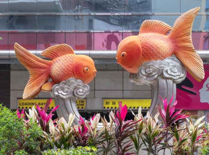 Unusual Things To Do In Hong Kong That Are Not In Your 
