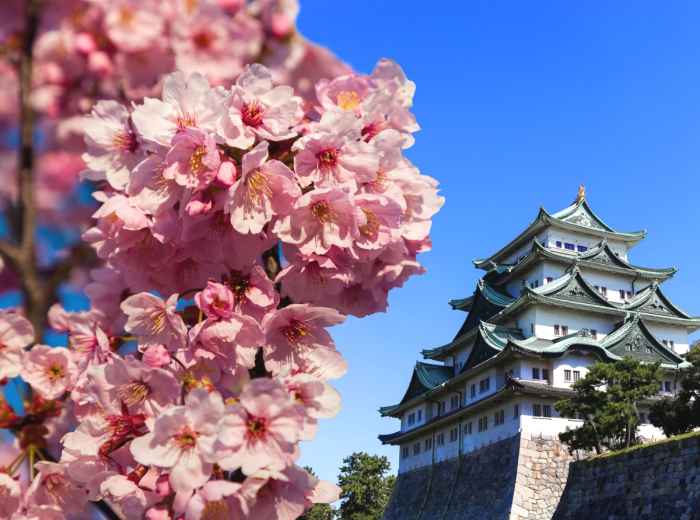 10 Hidden Gems In Nagoya