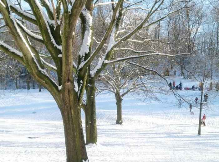 Best Things to Do in Berlin in Winter