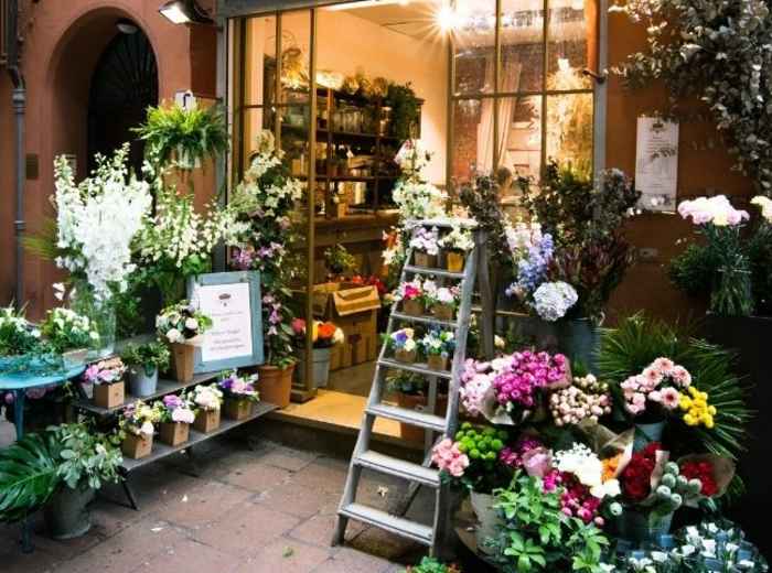 Unusual Things To Do In Bologna That Are Not In Your Gu